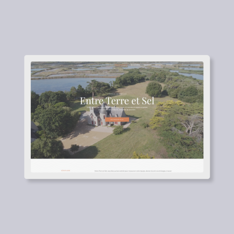 PORTFOLIO - DIGITAL – entreterreetsel